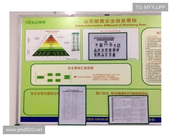 企业体育联赛有哪些（体育企业组织结构图）sports